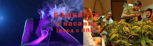 МДМА Бородино
