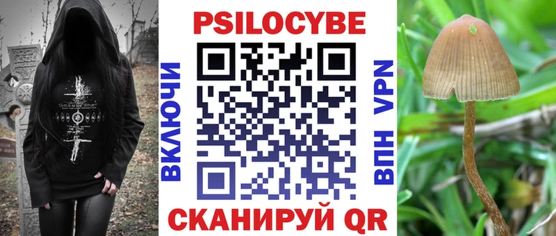 Псилоцибиновые грибы GOLDEN TEACHER  блэк спрут вход  Сургут  купить  